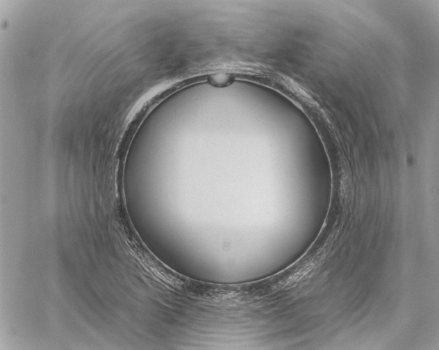 X0000060261222200511181346