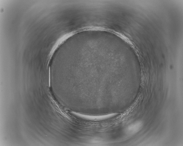 X0000060261223200511181346