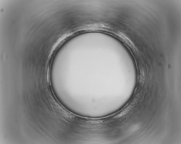 X0000060261224200511181346