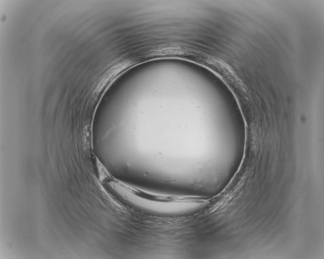 X0000060261225200511181346