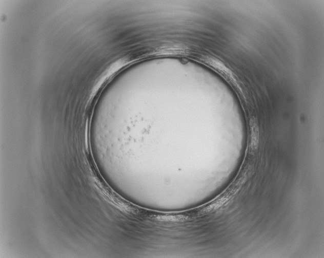 X0000060261227200511181346