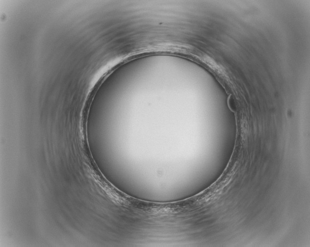 X0000060261230200511181346