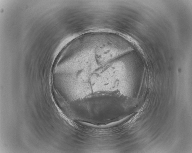 X0000060261231200511181346