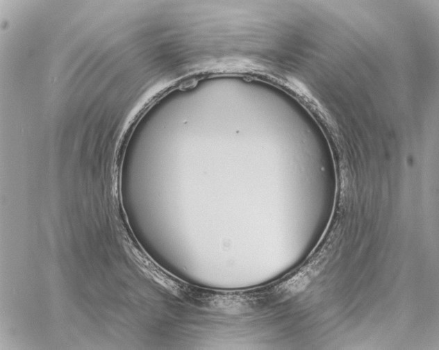 X0000060261232200511181346