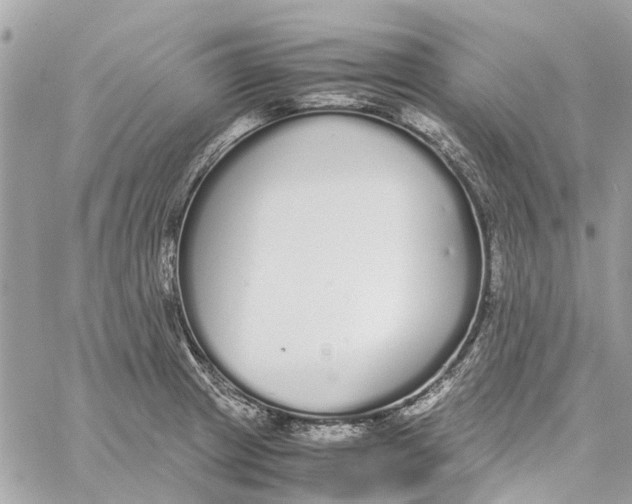 X0000060261233200511181346