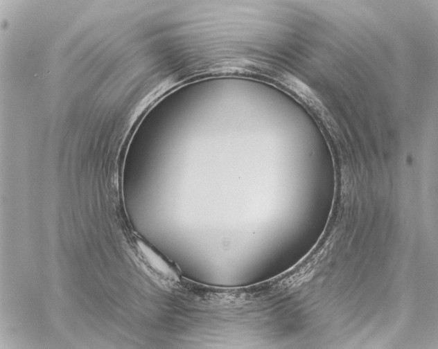 X0000060261234200511181346