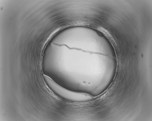 X0000060261236200511181346