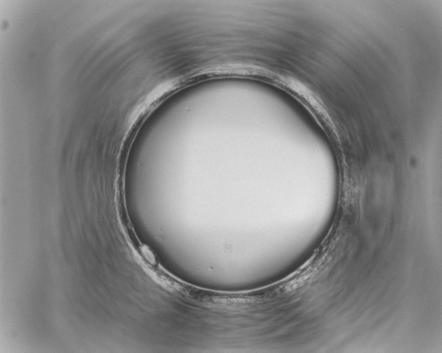 X0000060261237200511181346