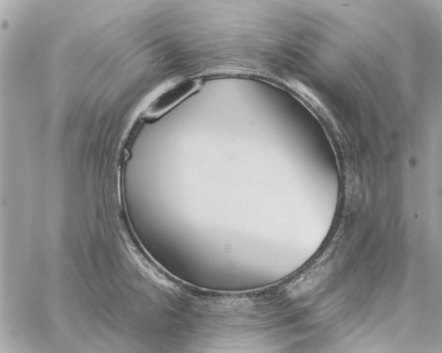 X0000060261238200511181346