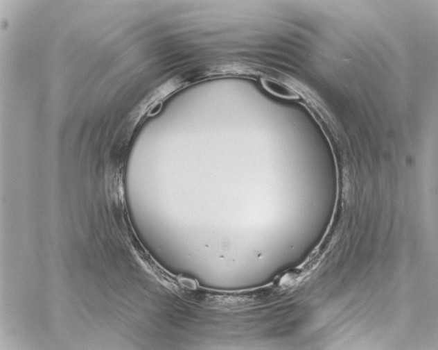 X0000060261241200511181346