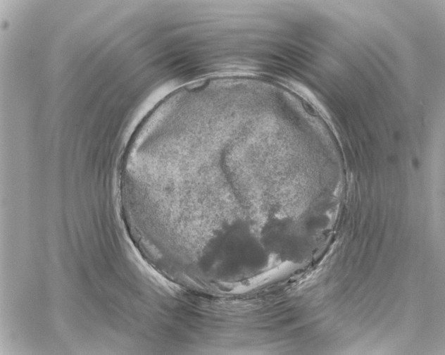 X0000060261243200511181346