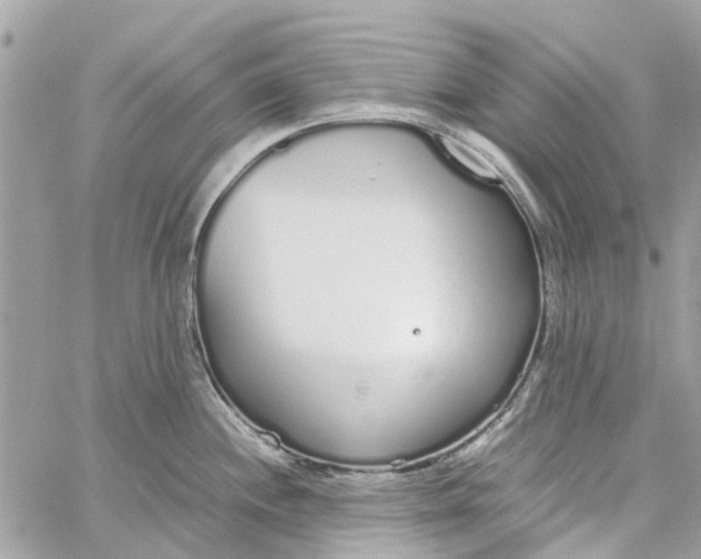 X0000060261244200511181346