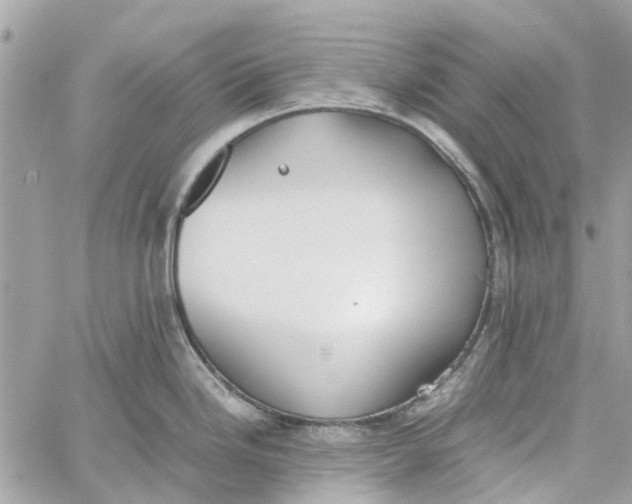 X0000060261246200511181346