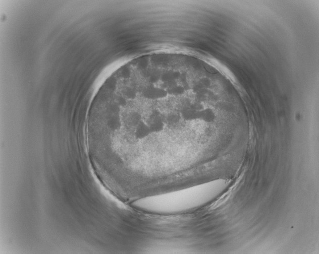 X0000060261247200511181346