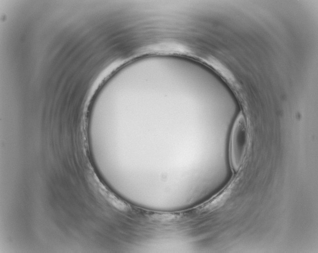 X0000060261248200511181346