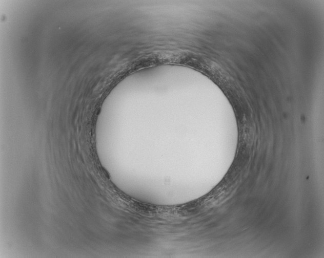 X0000060261249200511181345