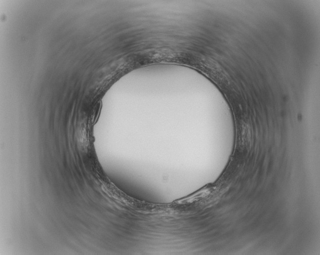 X0000060261250200511181345