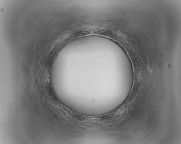 X0000060261253200511181345