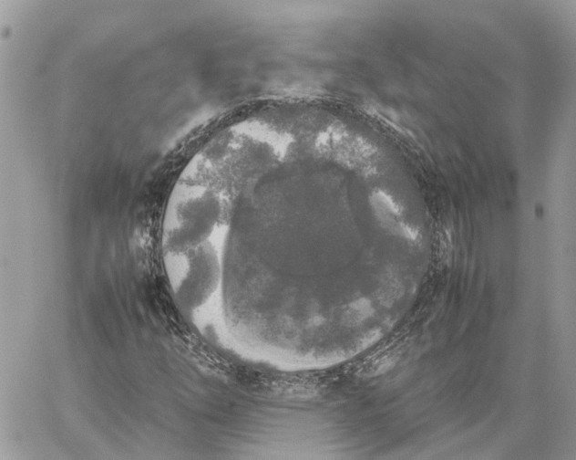 X0000060261254200511181345