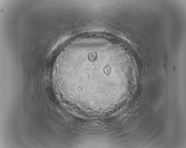 X0000060261255200511181345