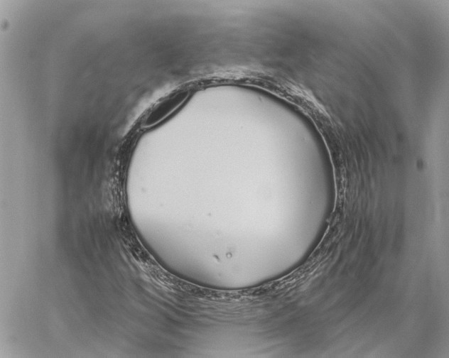 X0000060261256200511181345