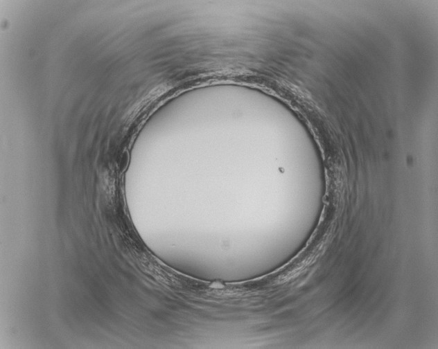 X0000060261257200511181345