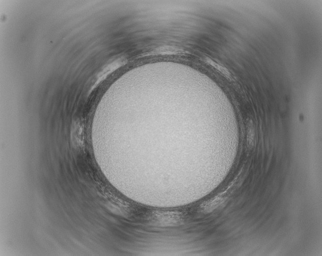 X0000060261258200511181345