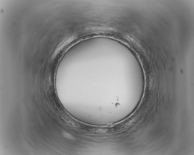 X0000060261261200511181345