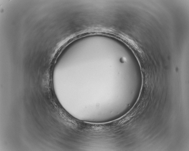 X0000060261264200511181345