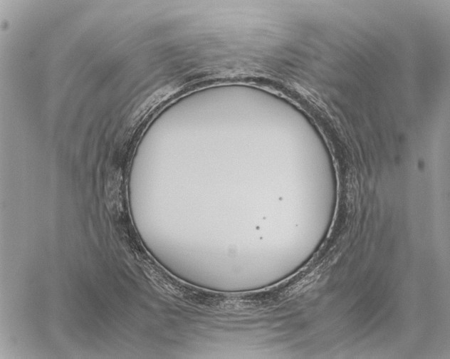 X0000060261265200511181345