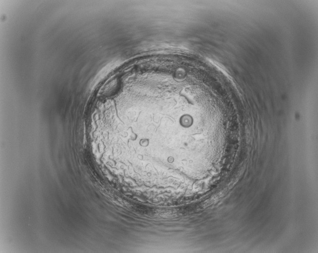 X0000060261267200511181345