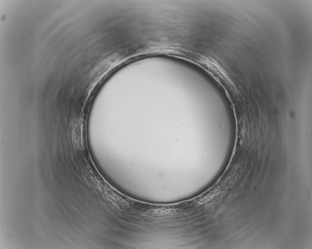 X0000060261268200511181345