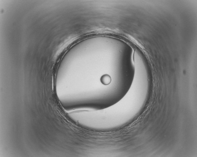 X0000060261269200511181345