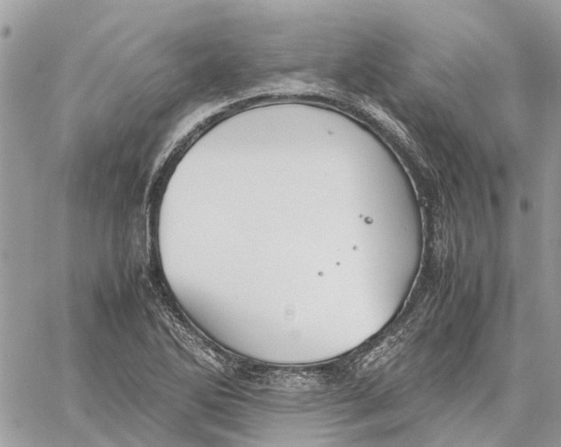 X0000060261270200511181345