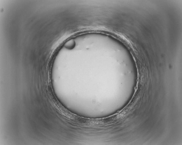 X0000060261271200511181345