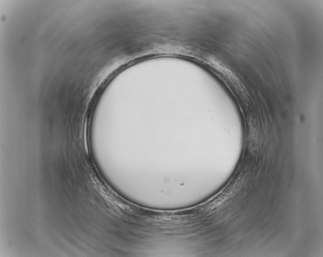 X0000060261272200511181345