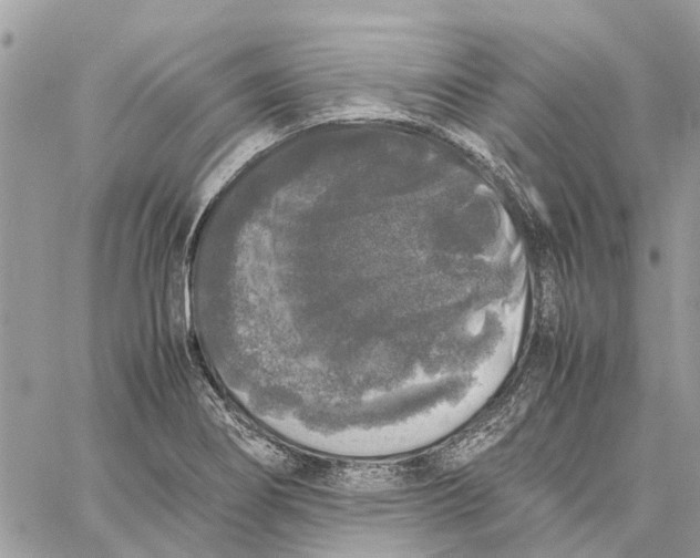 X0000060261274200511181345