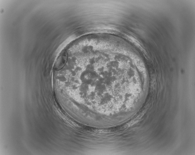 X0000060261275200511181345