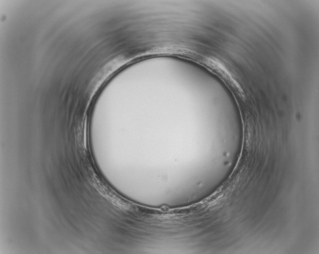 X0000060261276200511181345