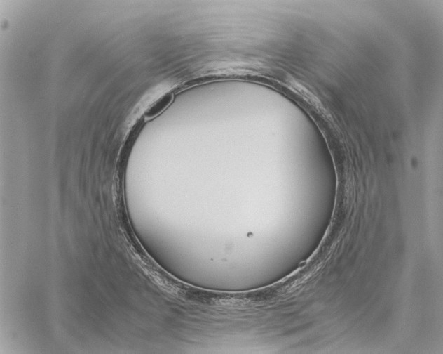 X0000060261277200511181345