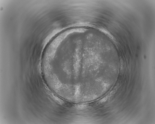 X0000060261278200511181345