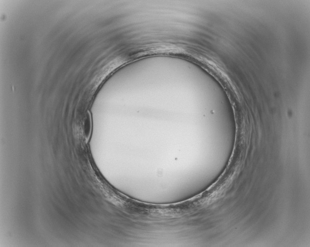 X0000060261281200511181345