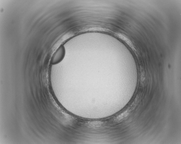 X0000060261282200511181345