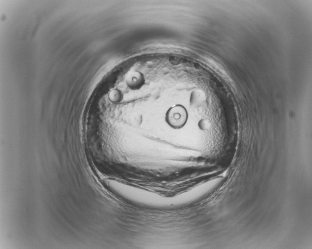 X0000060261283200511181345