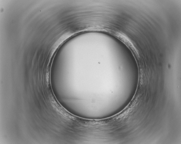 X0000060261284200511181345