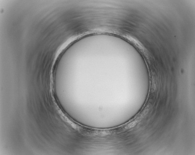 X0000060261286200511181345