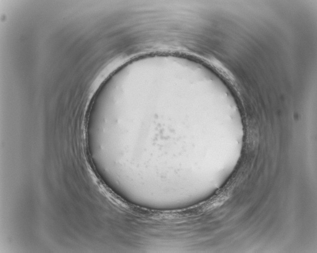 X0000060261287200511181345