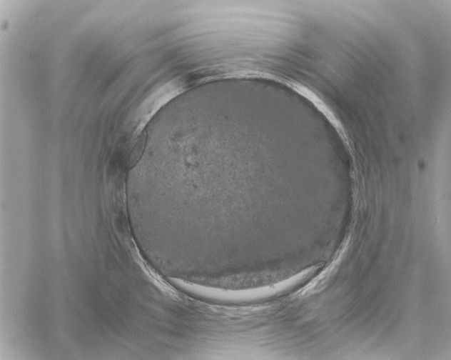 X0000060261289200511181345