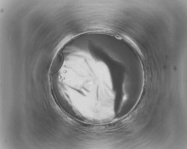 X0000060261291200511181345