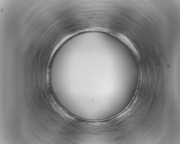 X0000060261292200511181345